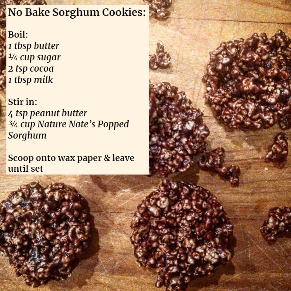 Organic Popped Sorghum Snacks - Keto, Gluten-Free, Healthy Alternative to Popcorn - for On-the-Go & Movie Nights