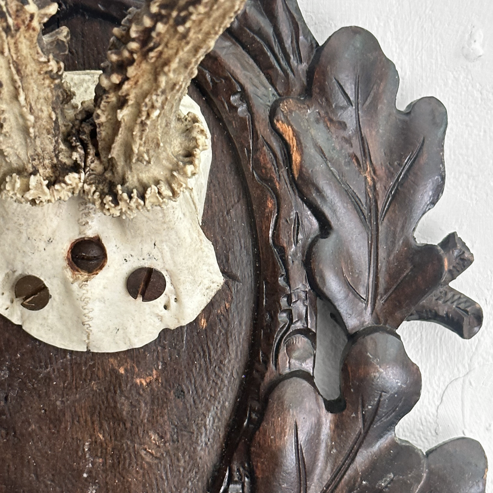 Black Forest Antlers on Carved Wood Plaque - Handcrafted Deer Antler Wall Decor for Hunting Lodge, Cabin & Rustic Home Decor - Perfect for Living Room, Study or Man Cave