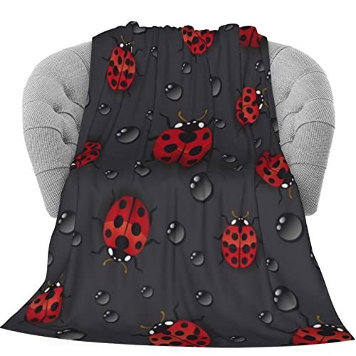 Ladybug Raindrop