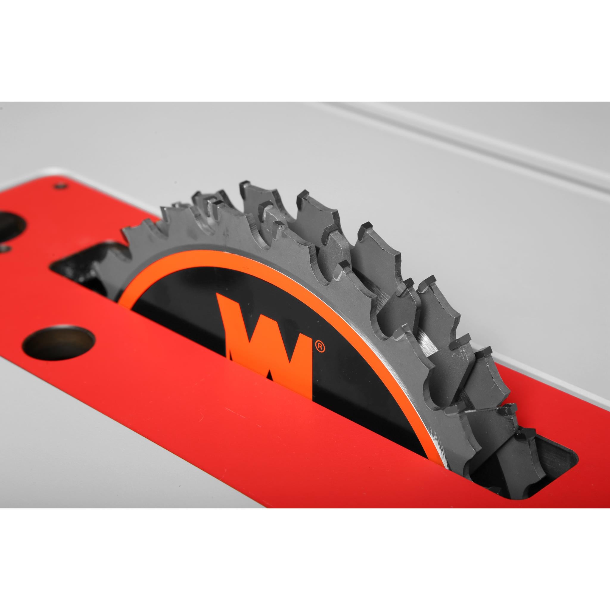 8 Inch 24-Tooth Carbide Tipped Stacked Dado Blade Set (WEN BL088D) - Perfect for 10 Inch Table Saws - Ideal for Woodworking, Cabinetry & Precision Cutting Projects