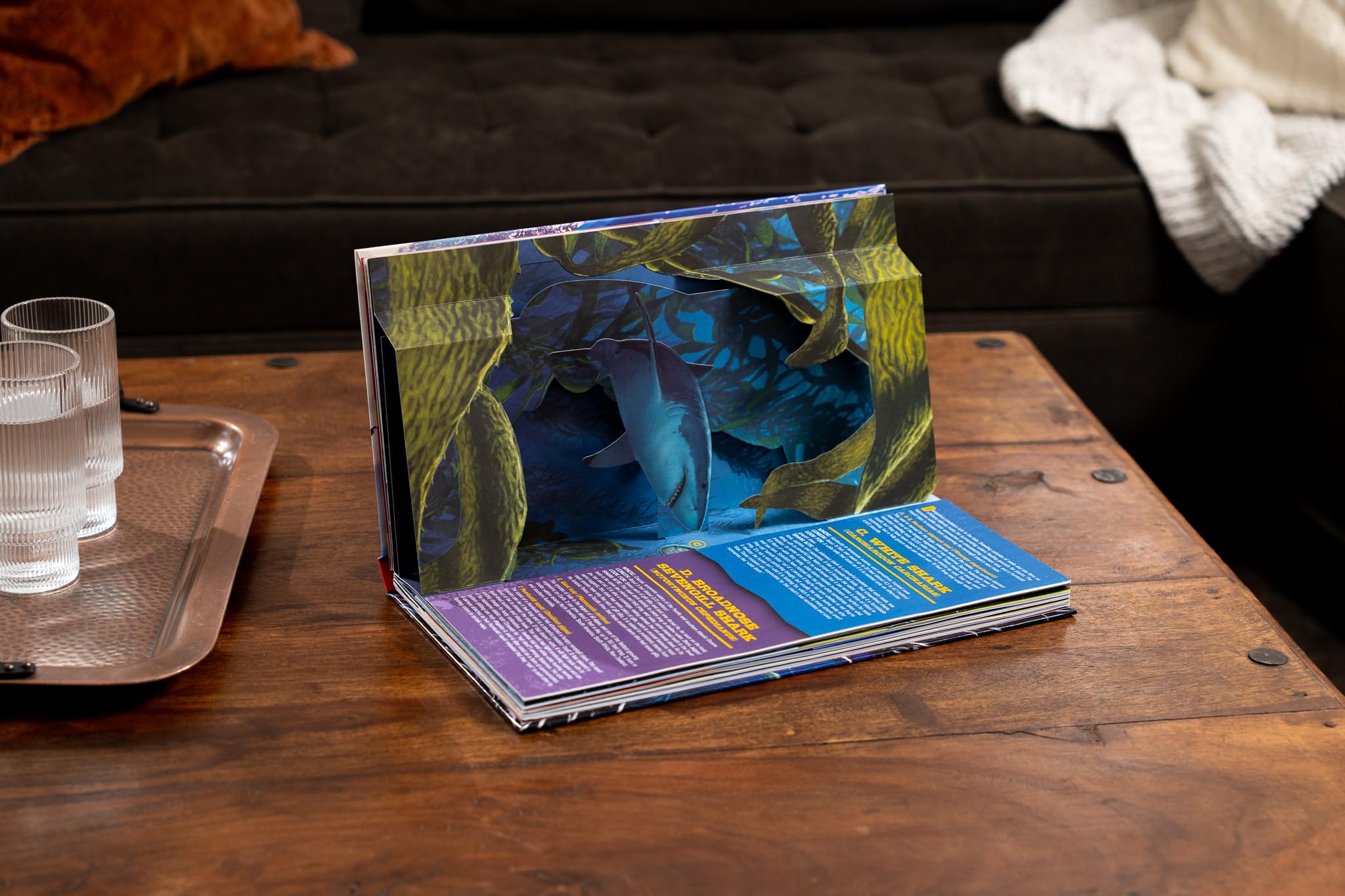 Shark World: 3D Pop-Up Book for Kids - Interactive Ocean Adventure & Educational Learning - Perfect for Gifts, Classrooms & Bedtime Stories