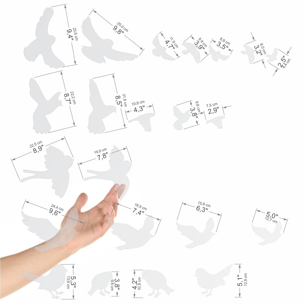 Anti-Collision Window Stickers for Birds - 22pc Bird Silhouette Decals with Spray & Squeegee Kit - Frosted Translucent Design to Prevent Bird Strikes - Perfect for Home Windows, Office Buildings & Glass Balconies