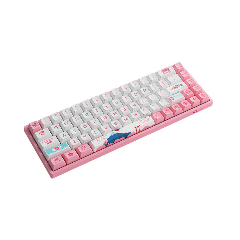 Akko 3068B Plus World Tour Tokyo R2 Wireless RGB Mechanical Keyboard - Hot Swappable, CS Jelly Pink Switch - Perfect for Gaming, Typing & Office Work