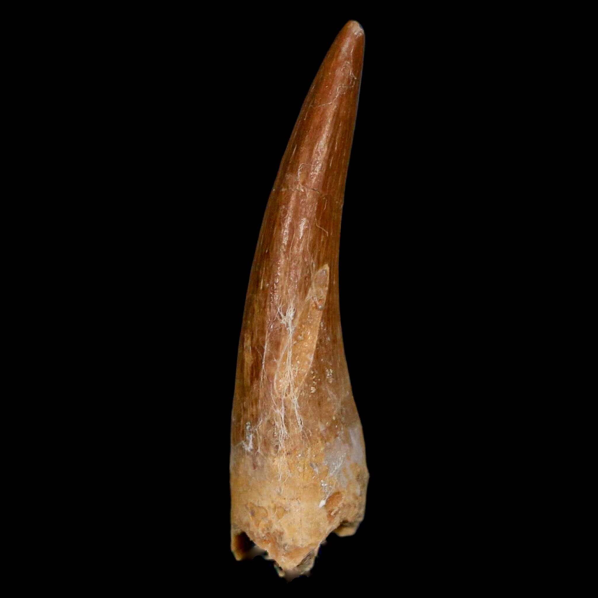 1.6
