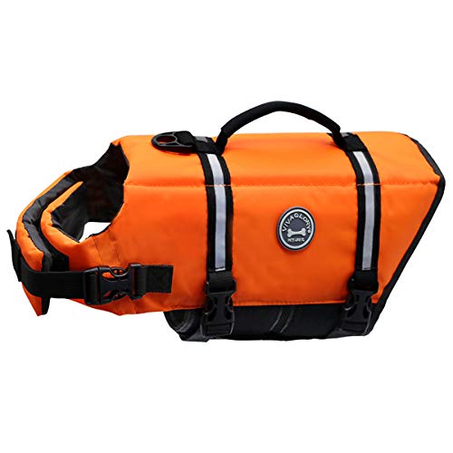 Bright Orange