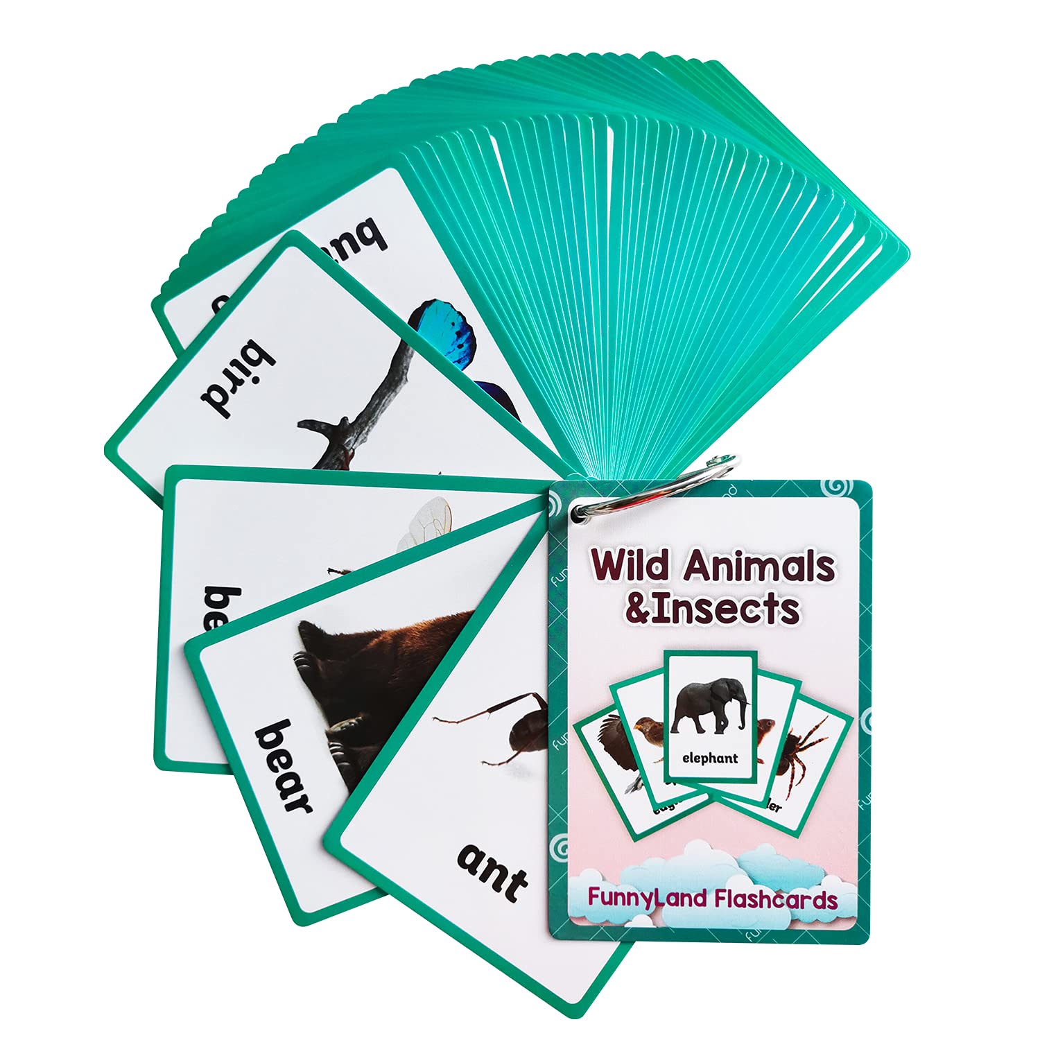 Lilias Wild Animals & Insects Flash Cards - 48-Piece Educational Learning Set for Toddlers & Preschoolers (4.3
