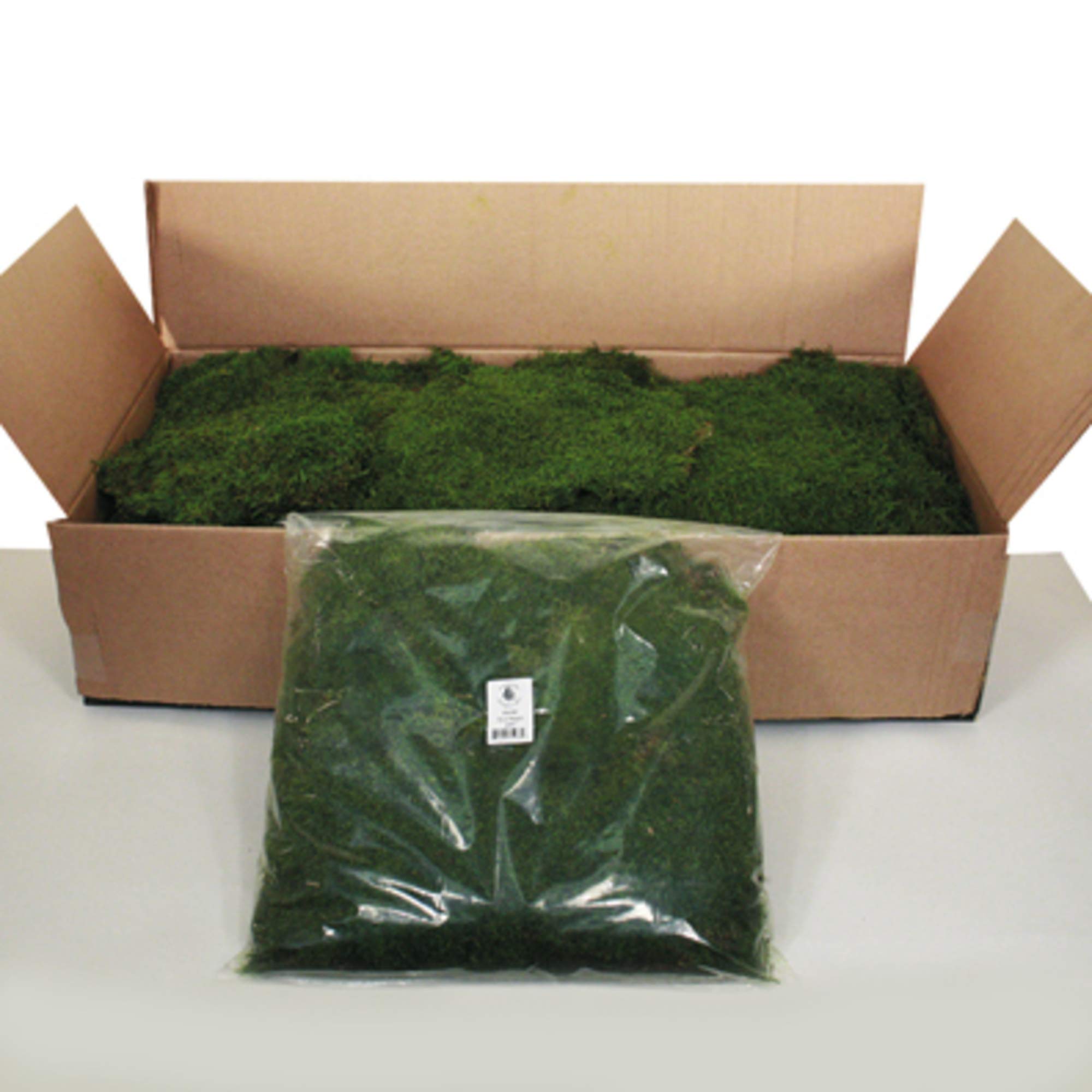 Vickerman's Preserved Real Sheet Moss Bag - Natural Green Moss for Home Decor, Coffee Table Centerpiece, Terrariums & Floral Arrangements - Maintenance-Free, 1.1 lb - Perfect for DIY Crafts, Wall Art & Wedding Decorations