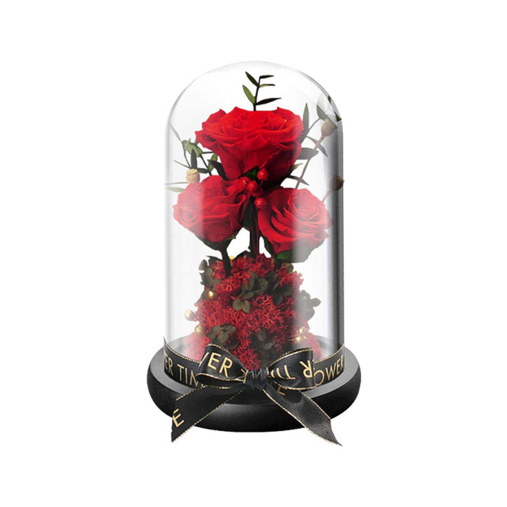 PRETYZOOM Romantic Glass Rose Night Light - Battery-Free LED Desktop Decor for Women, Anniversary Gift, Home Office Decoration | Perfect for Bedside, Living Room & Romantic Date Nights