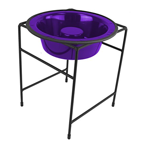 Electric Purple