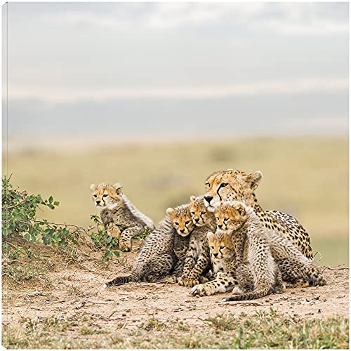 Cheetah Hide