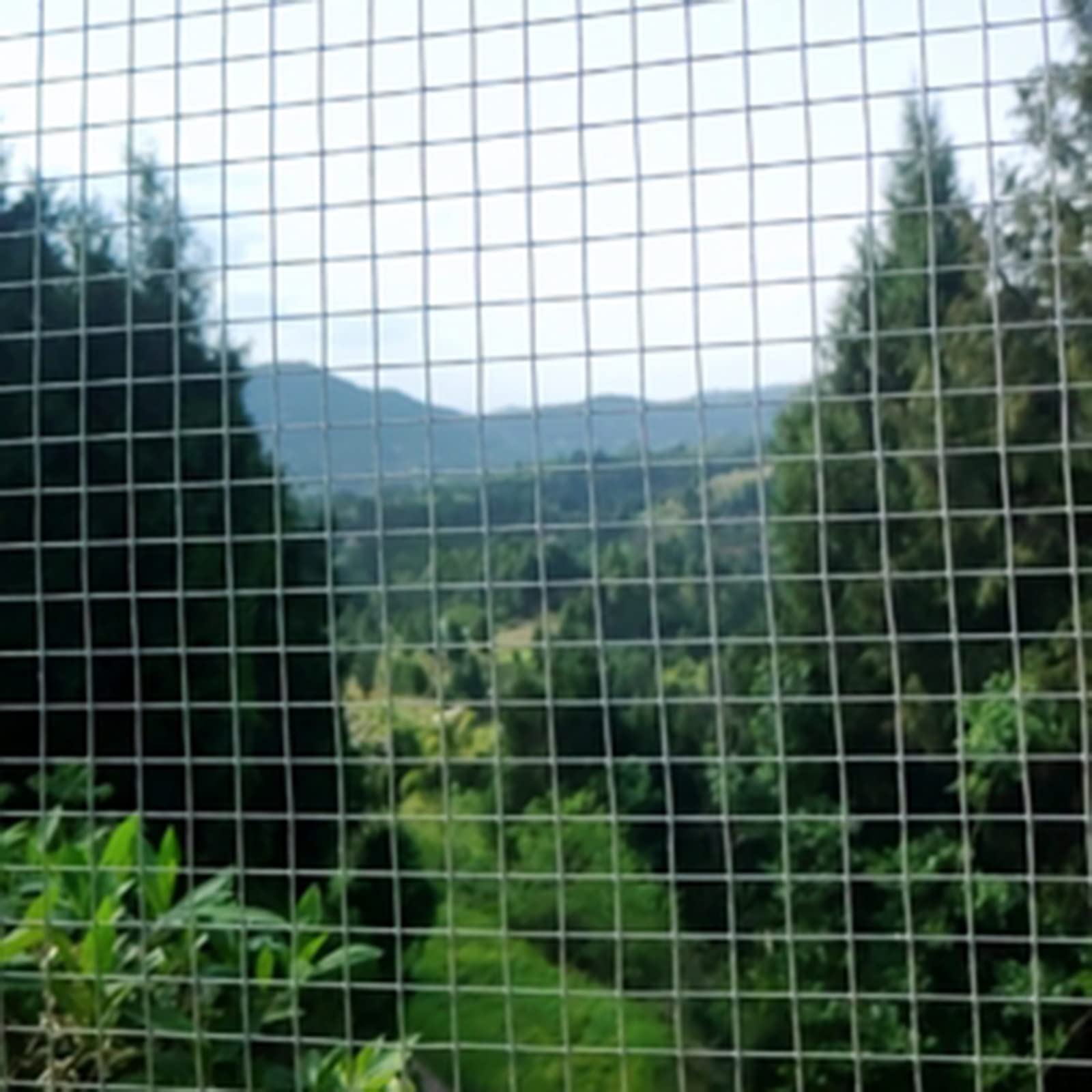 Galvanized Welded Wire Mesh - 1/4