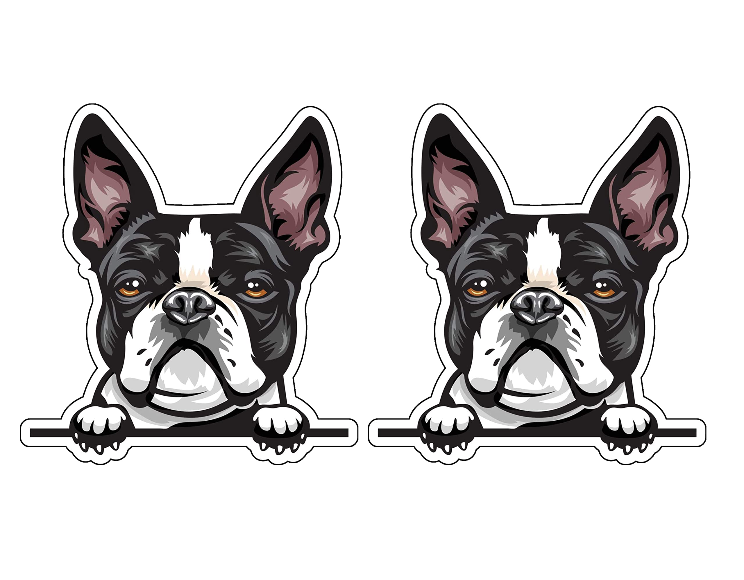 WickedGoodz Boston Terrier Decal - 2pc Set Dog Breed Bumper Sticker - Perfect for Windows, Cars, Trucks, Walls, and Home Decor