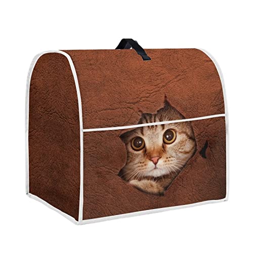 Animal Cat