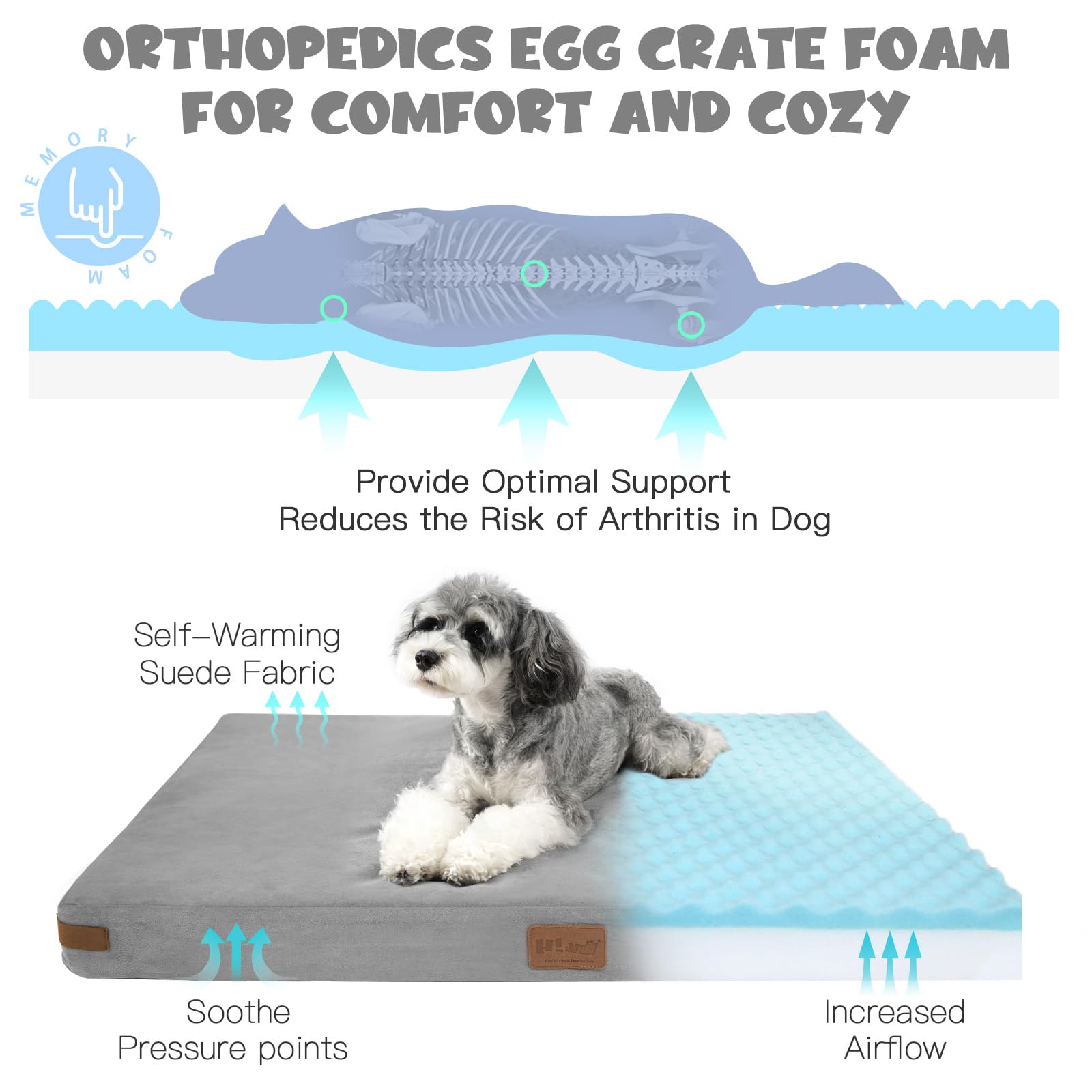 Orthopedic Memory Foam Dog Bed for Medium Dogs - Washable Removable Cover & Non-Slip Bottom - Grey Pet Bed with Soft Blanket - Perfect for Arthritis Support, Crate Training, and Home Comfort
