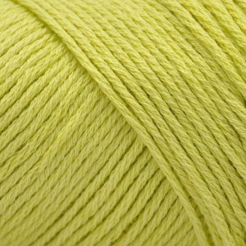 Celery Leaves - CF844C
