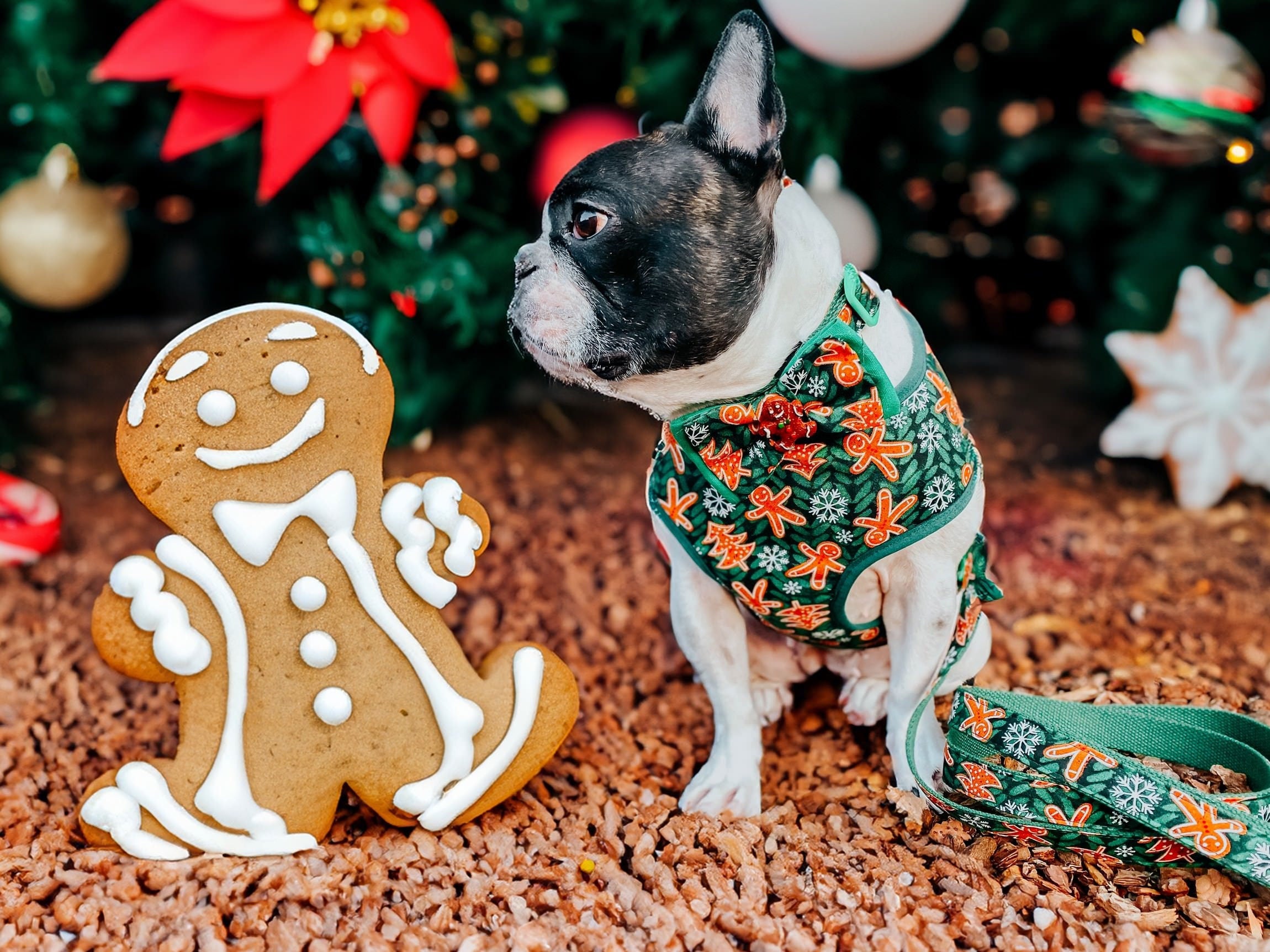 Festive Christmas Dog Collar Bow Tie with Gingerbread & Snowflake Design - Perfect for Holiday Pet Photos & Parties
