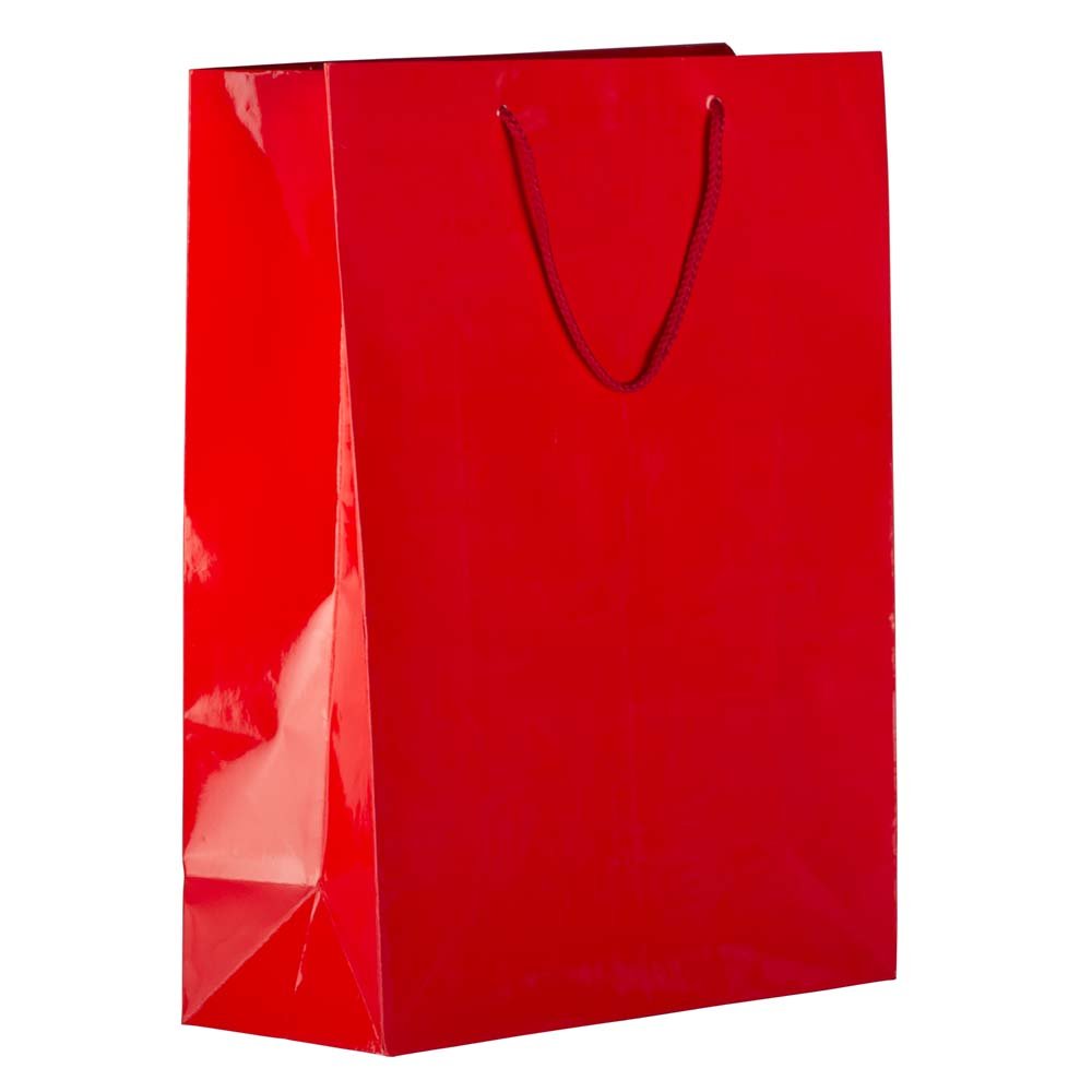 JAM PAPER Extra Large Gift Bags with Rope Handles - 12.5