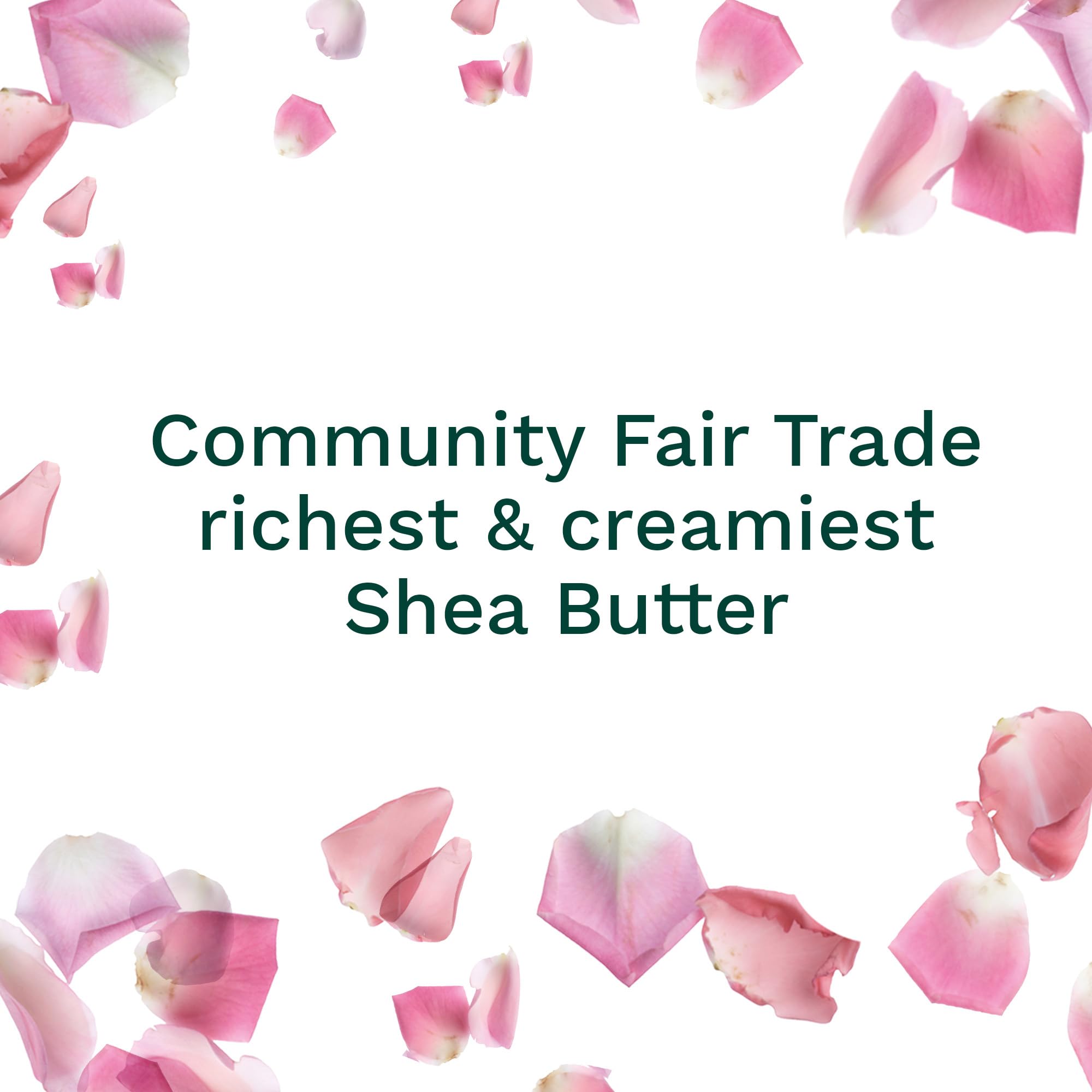 The Body Shop Vegan British Rose Body Butter, 200ml - 96 Hour Hydration for Normal to Dry Skin | Cruelty-Free & Vegan | Perfect for Daily Moisturizing & Nighttime Skincare Routine