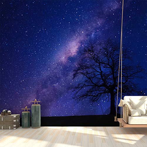 Starrysky-2003-n14