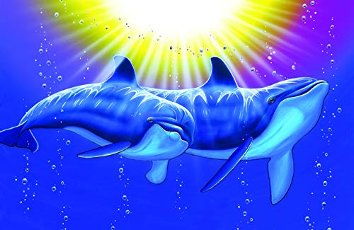 Bottlenose Dolphins