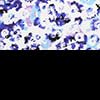 Black / Blue Floral
