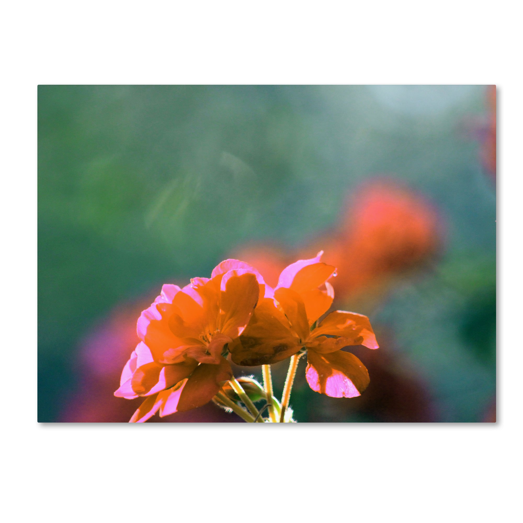Patty Tuggle Flowers and Sun Canvas Wall Art - 35x47 Inch Floral Painting for Living Room, Bedroom & Office Decor - Handmade Trademark Fine Art Print