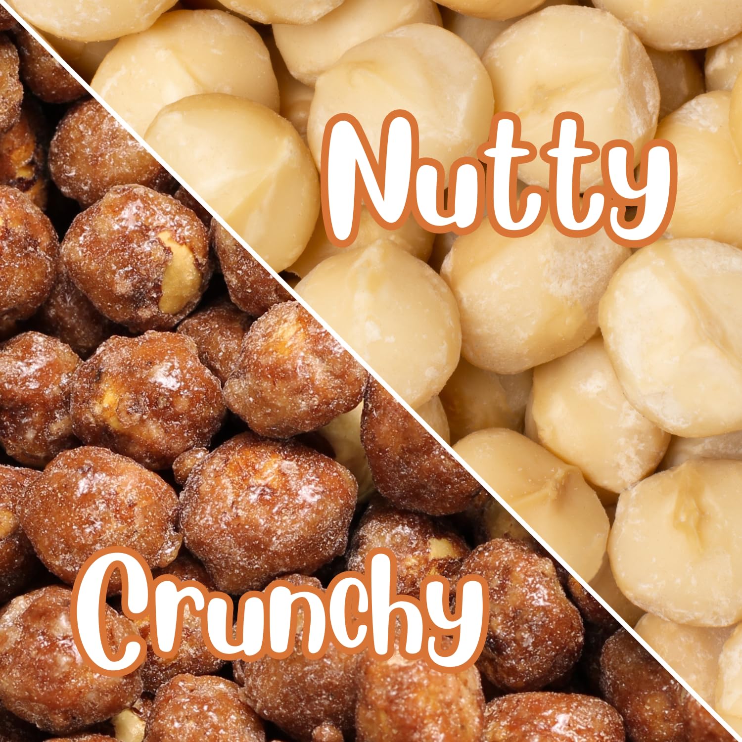 Premium Gourmet Toffee Coated Macadamia Nuts - 10 lbs Bulk Bag - Sweet Crunchy Caramelized Snack - Perfect for Parties, Gifts & Office Treats - Its Delish Brand