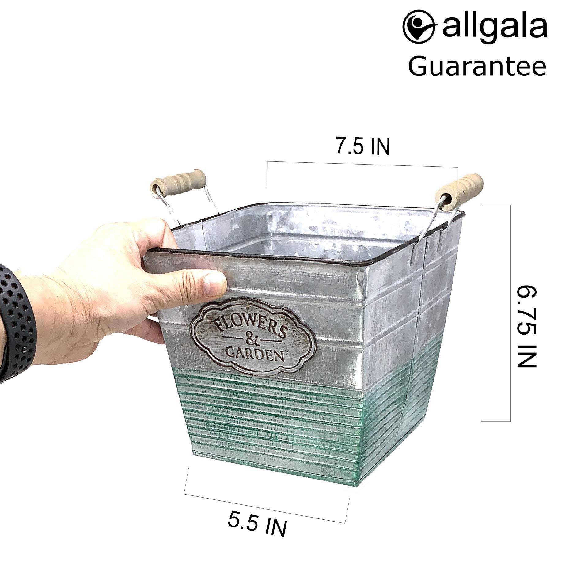 Allgala 7