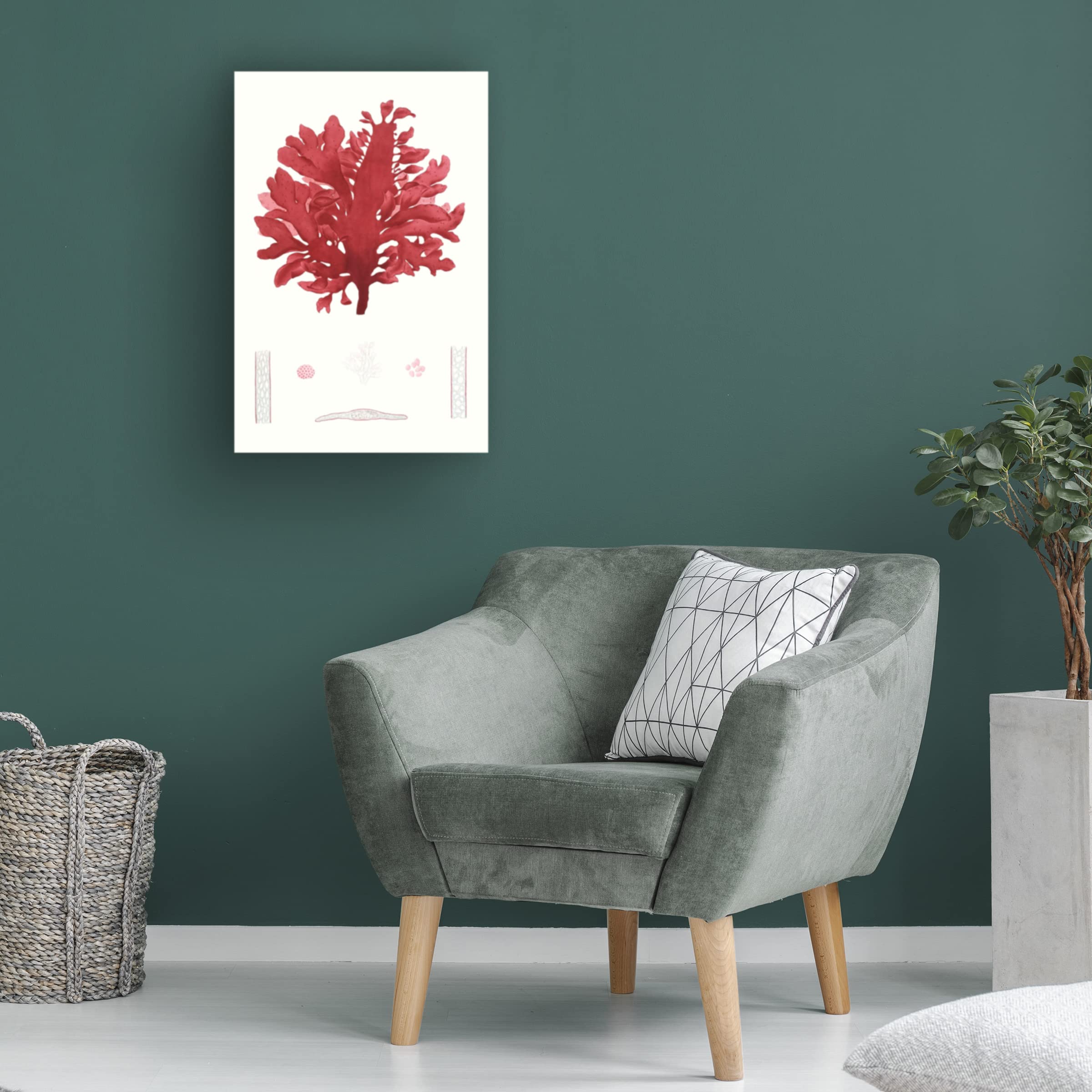 Striking Seaweed I Canvas Wall Art Print by Vision Studio - Modern Coastal Home Decor for Living Room, Bedroom & Office