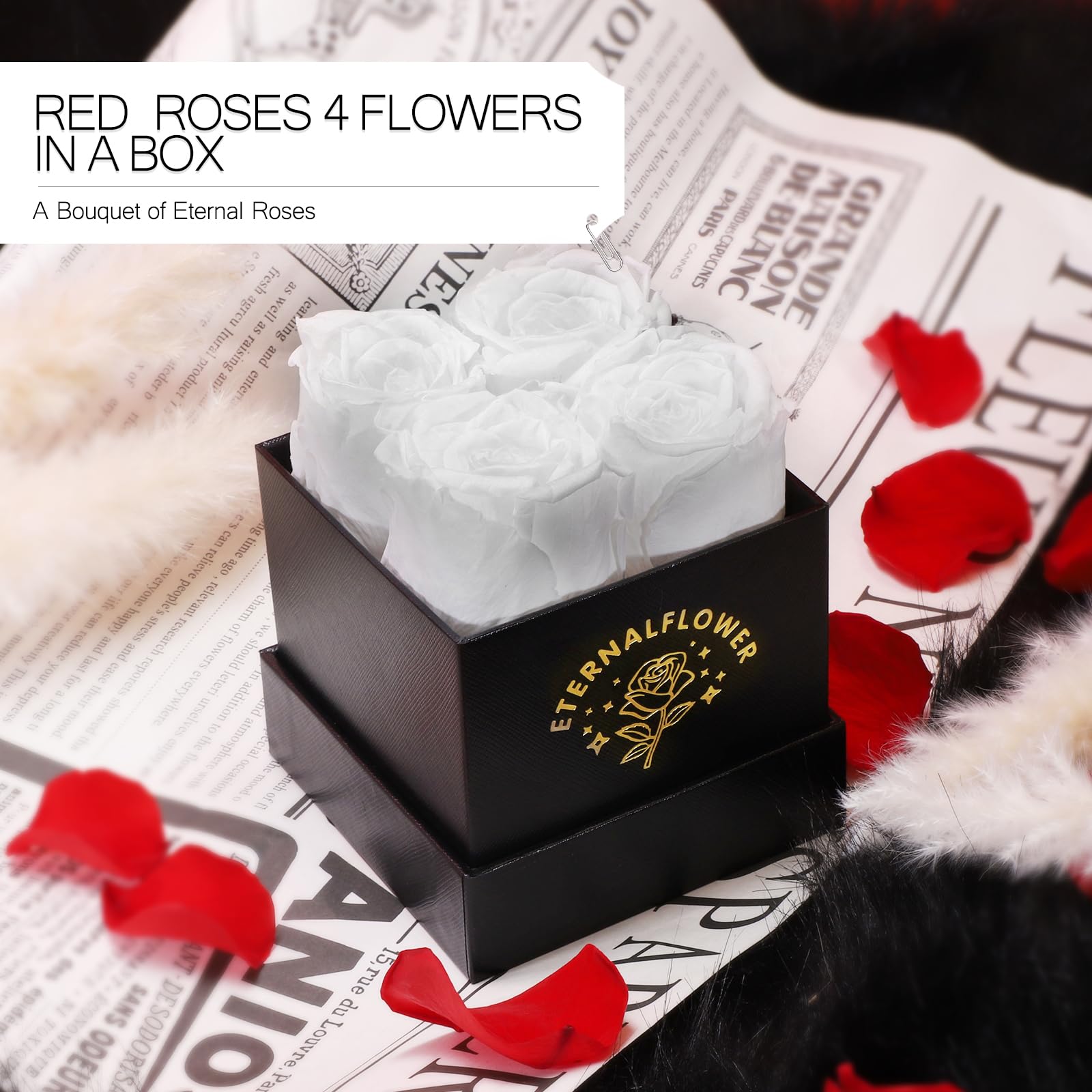Forever Roses in a Box - Preserved White Rose Gift Set for Women, Mom, Wife, Girlfriend, Grandma | Eternal Rose Gift for Mother's Day, Christmas, Valentine's Day | Real Preserved Roses for Home Decor, Wedding Centerpieces & Romantic Surprises