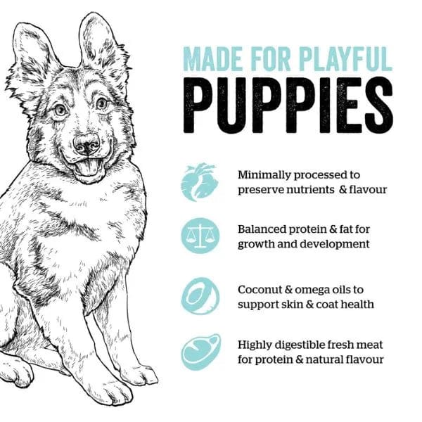 Now Fresh Turkey, Salmon & Duck Recipe Large Breed Dry Puppy Food - Premium Grain-Free Nutrition for Growing Big Dogs - Perfect for Active Puppies & Large Breed Development
