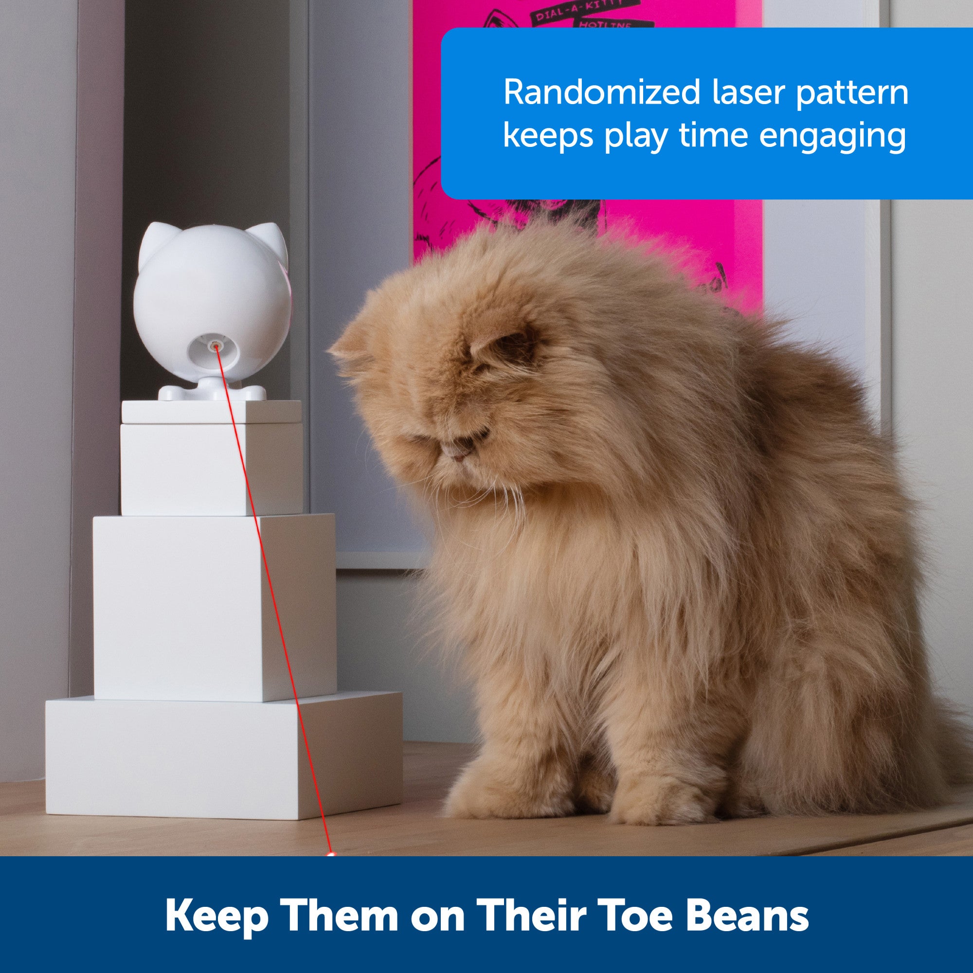 Interactive Automatic Laser Cat Toy - Dancing Dot™ by PetSafe® | Fun Exercise & Play for Indoor Cats | Red Dot Chase Game for Kittens & Adult Cats