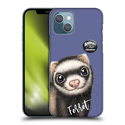 Ferret