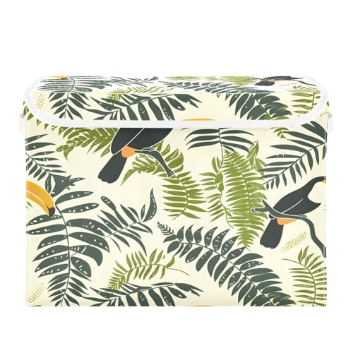 Toucan Birds