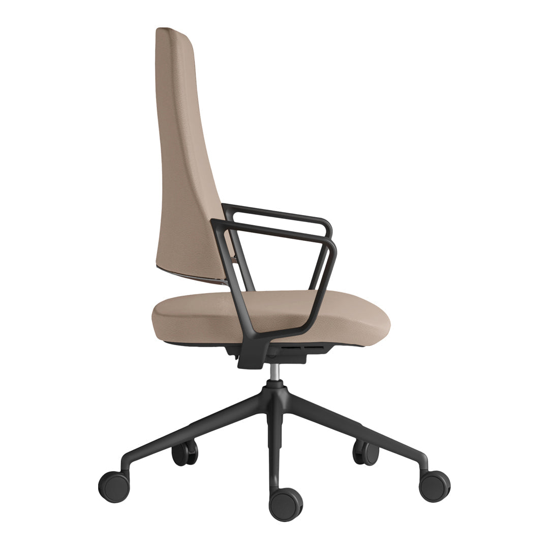 Aventador Ergonomic Office Chair with Adjustable Medium Backrest - Perfect for Home Office, Gaming, and Workspace Comfort
