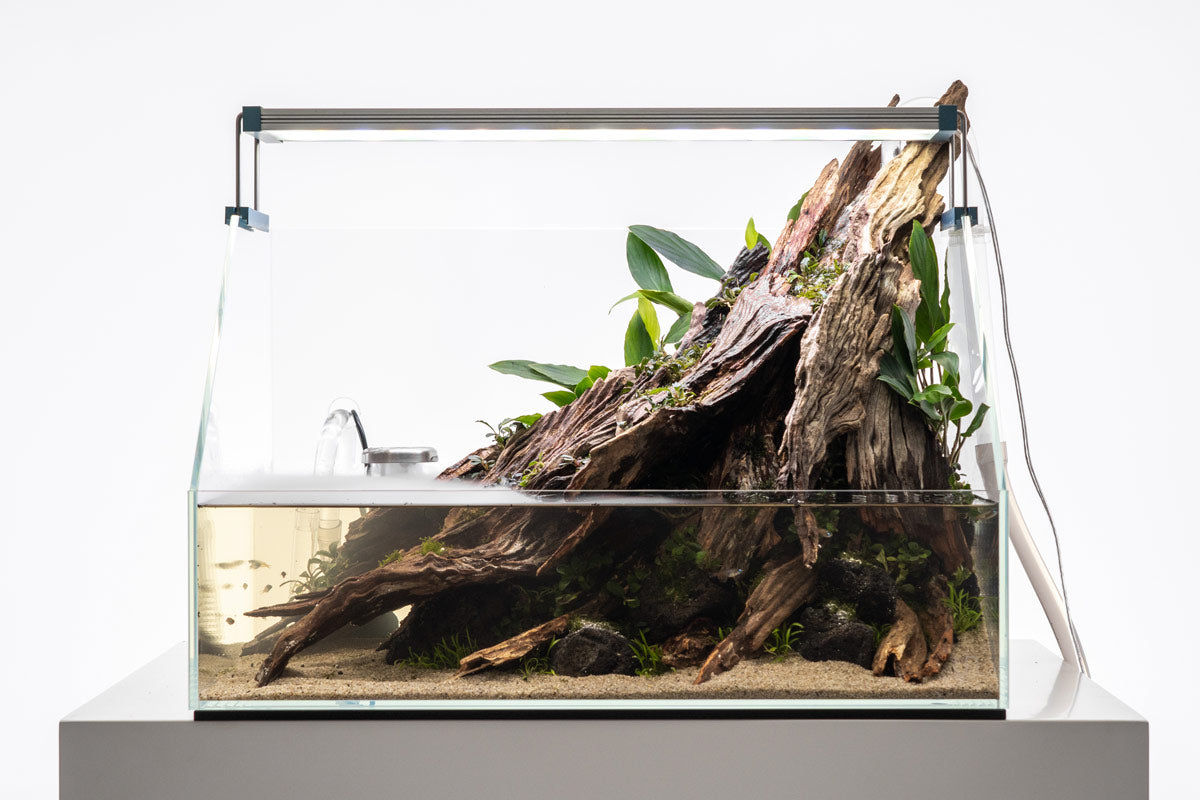 Complete Paludarium Starter Kit for Reptiles & Amphibians - Terrarium Setup with Plants, Substrate & Decor - Perfect for Vivariums, Frog Habitats & Gecko Enclosures