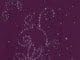 Victoria Purple