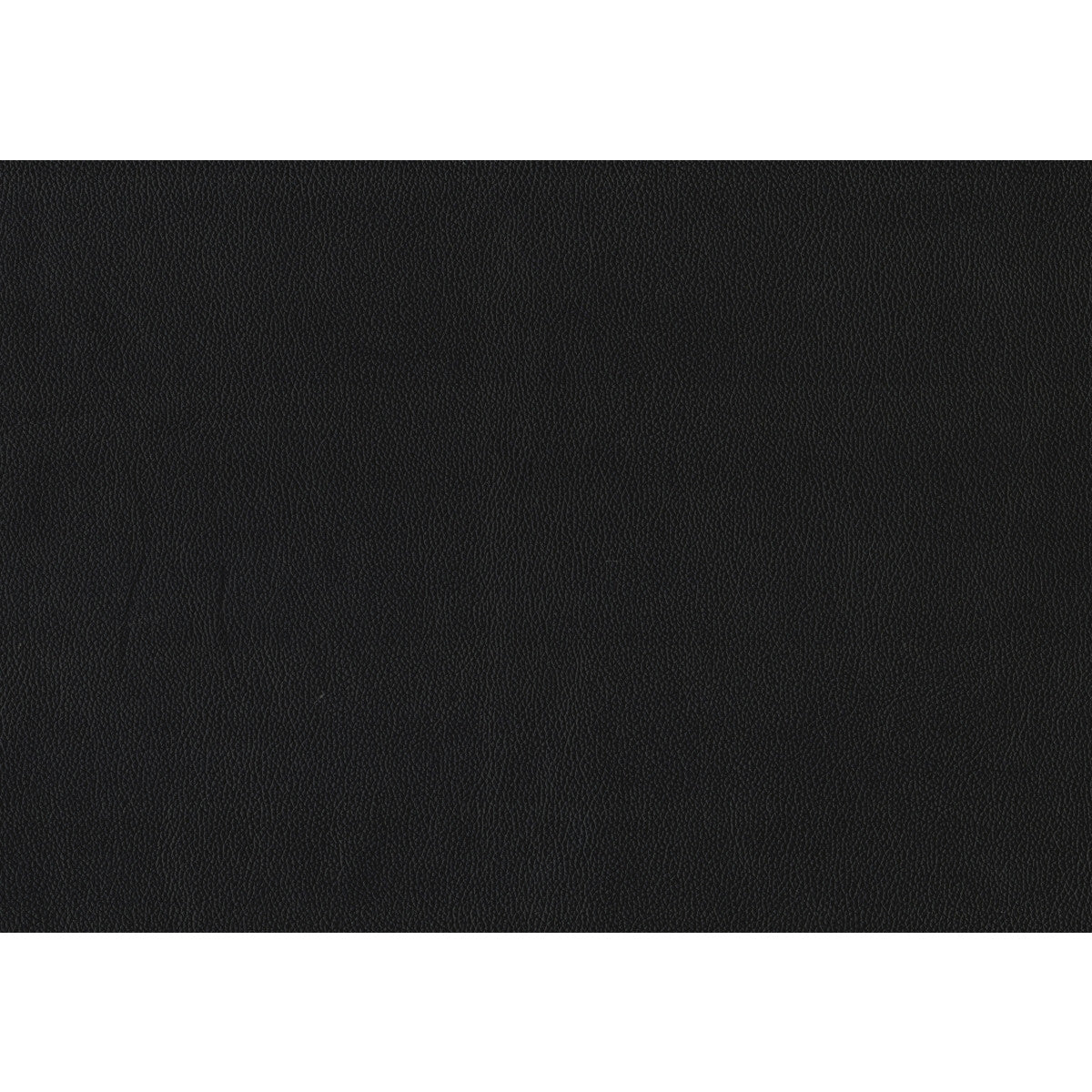 Archam Modern Accent Chair in Black - Stylish Living Room Seating for Home & Office Decor