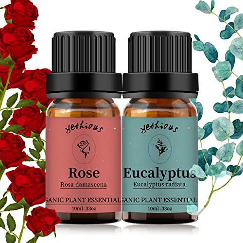 Rose+Eucalyptus