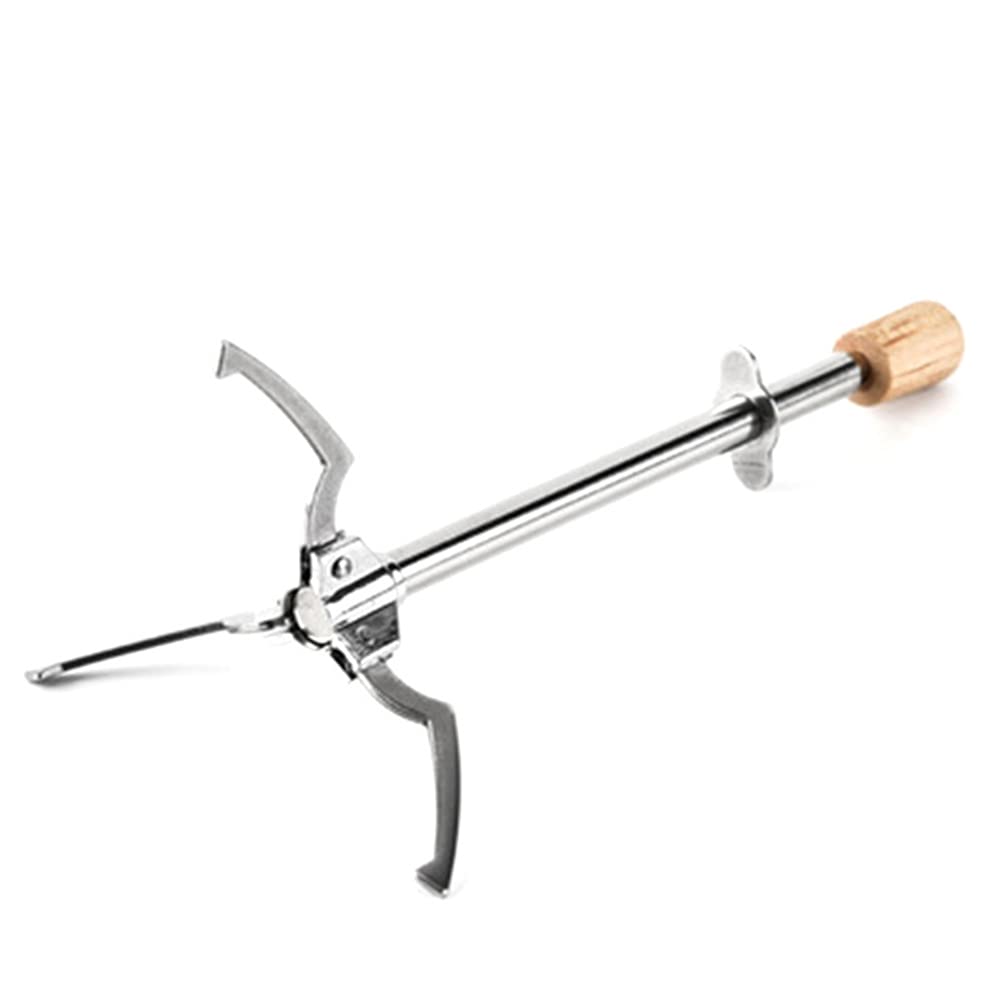 Stainless Steel Food Clip Serving Tongs - Multipurpose Kitchen Utensil for Coffee, Toast, Sugar Cubes, Fruit, Pasta & BBQ | Ideal for Cooking, Buffet Serving & Kids Meals | Durable & Safe for Daily Kitchen Use