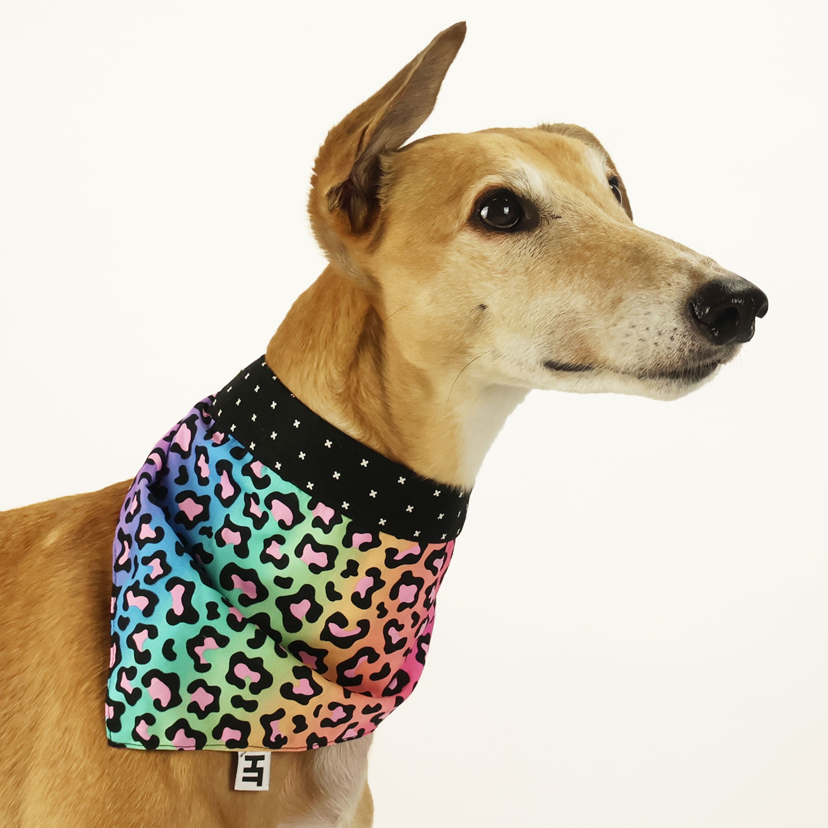Vintage Leo Bandana - Stylish Retro Print Cotton Scarf for Men & Women - Perfect for Music Festivals, Outdoor Adventures & Fashion Accessories