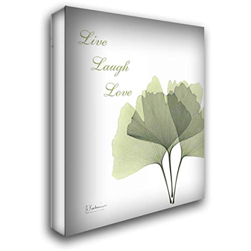 Albert Koetsier Ginkgo - Live 19x24 Gallery Wrapped Stretched Canvas Art Print | Nature-Inspired Wall Decor for Living Room, Bedroom & Office