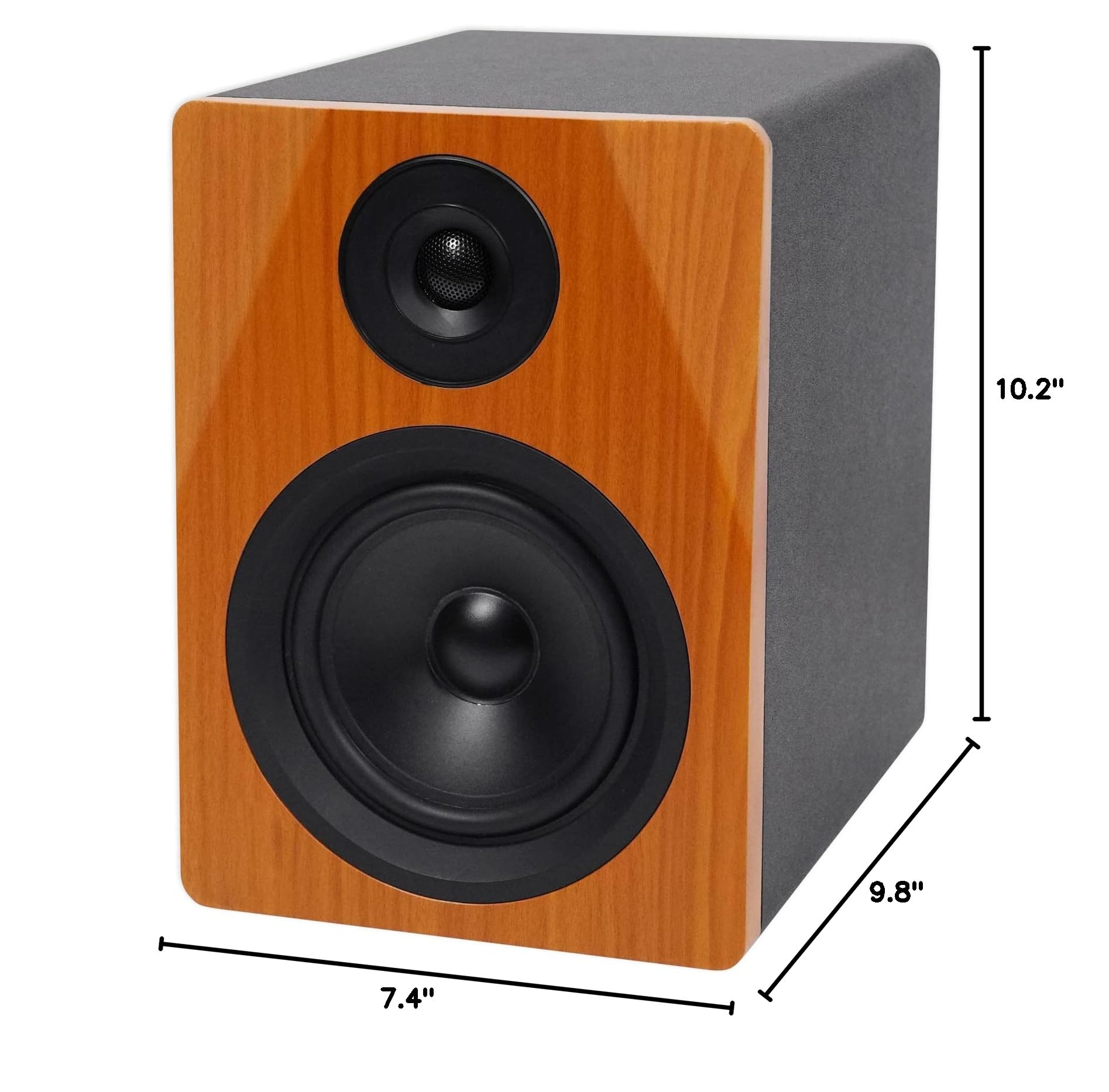 Rockville DPM5C Dual Powered 5.25