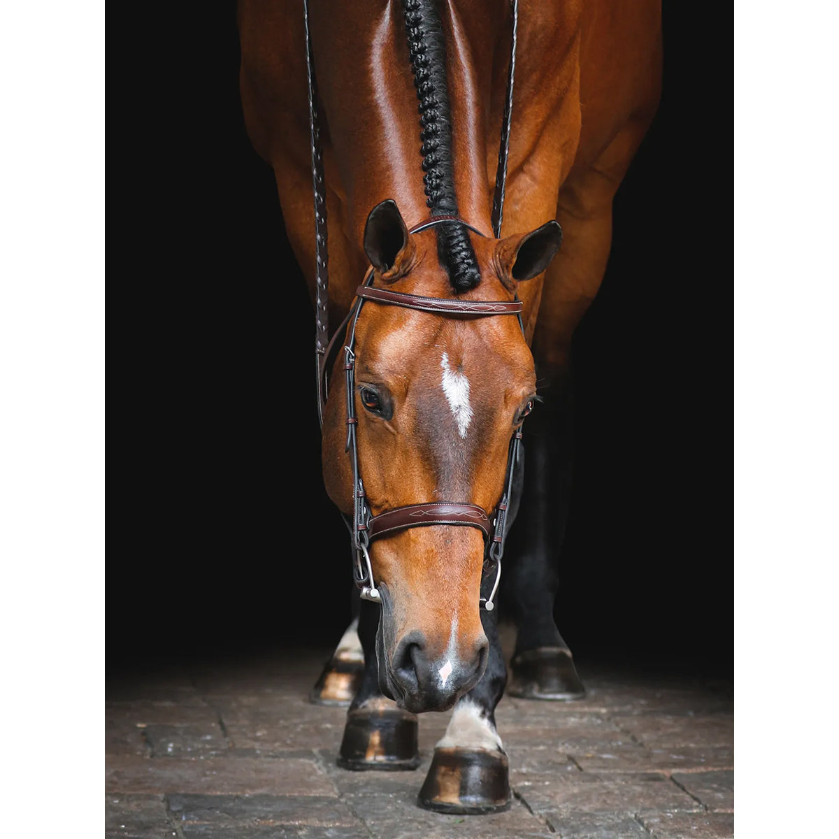 Equiline Scott Stewart Hunter Bridle - Premium English Equestrian Bridle for Show Jumping & Dressage | Perfect for Competitions & Training