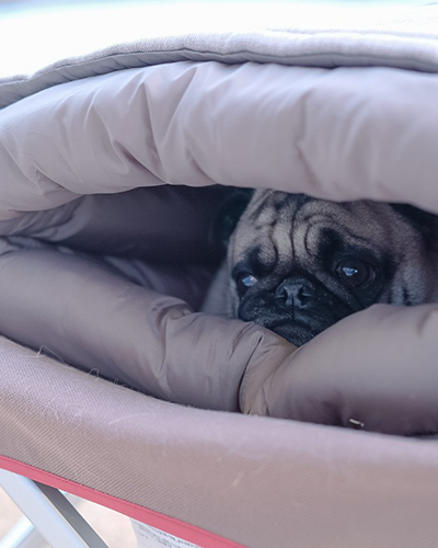 Comfortable Dog Sleeping Bag - Cozy Pet Bed for Small to Medium Dogs - Perfect for Indoor, Outdoor & Travel Use