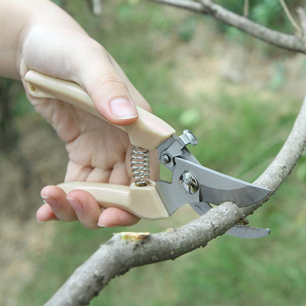 AKOAK 1 Pack Professional Gardening Scissors - Precision Trimmers for Fruit Trees, Branches, Flowers & Bonsai Plants | Ideal for Grafting, Pruning & Plant Care | Perfect for Home Gardeners & Landscaping Enthusiasts