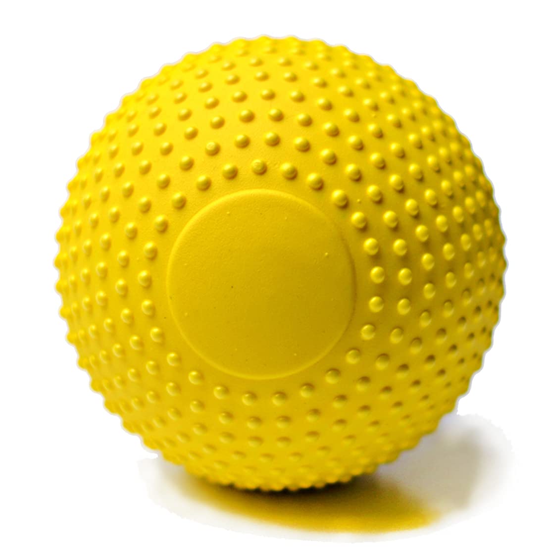 THIOPAR Indestructible Herding Ball for Dogs - Durable Outdoor Dog Toy, Bouncy & Floating Fetch Ball for Small & Medium Breeds - Perfect for Playtime, Training & Water Activities