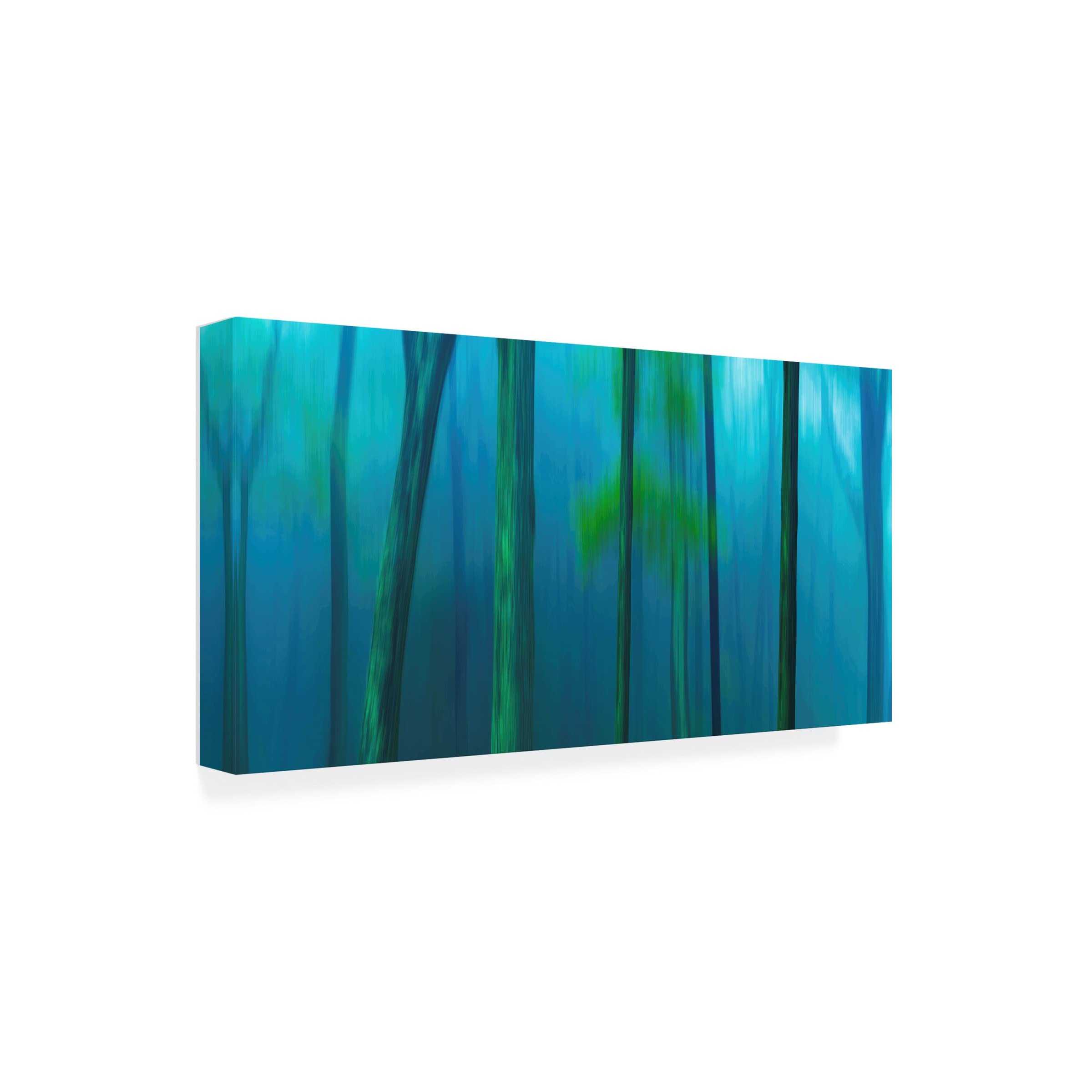 Trademark Fine Art 'Harriman Woods V' Canvas Wall Art by James McLoughlin - Nature Landscape Painting for Living Room, Bedroom & Office Decor