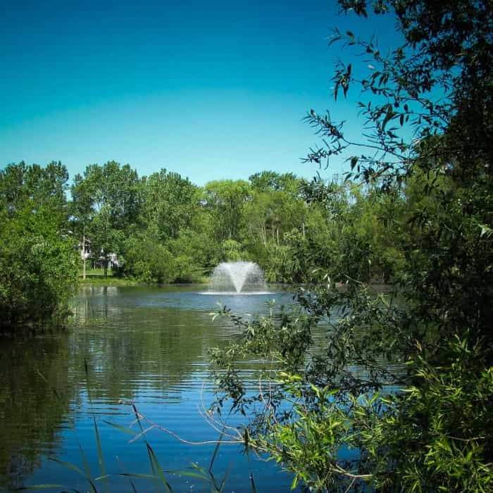 Scott North Star Floating Pond Aerator Fountain - Energy Efficient Water Aeration System for Lakes, Ponds & Small Water Features - Perfect for Backyard Ponds, Koi Ponds & Water Gardens