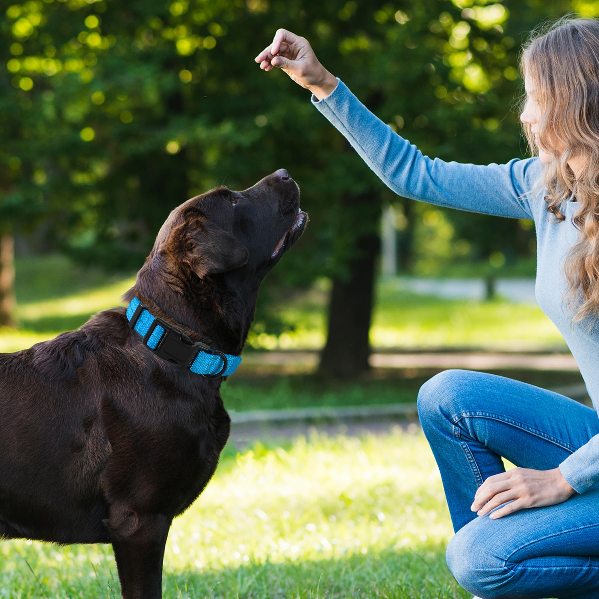 Reflective Nylon Dog Collar - Lightweight Puppy Collar for Small Dogs (Dark Blue) - Perfect for Night Walks & Outdoor Adventures